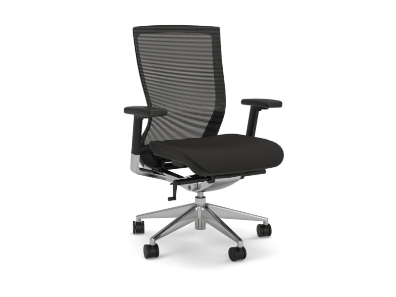 Balance Executive Adjustable Arms