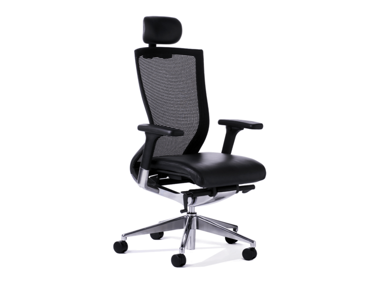 Balance Executive with Headrest