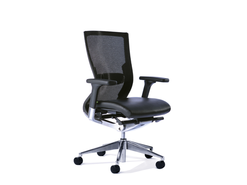 Balance Executive with Lumbar