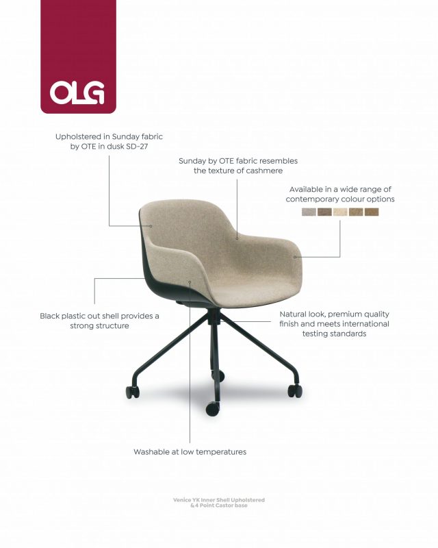 OLG Article Images Venice