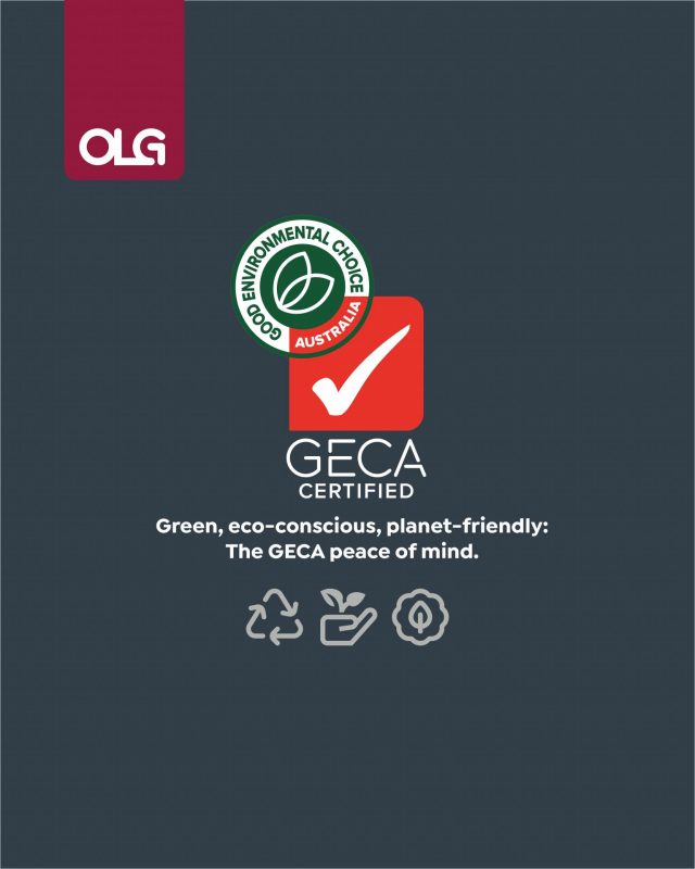 OLG Geca Slides5