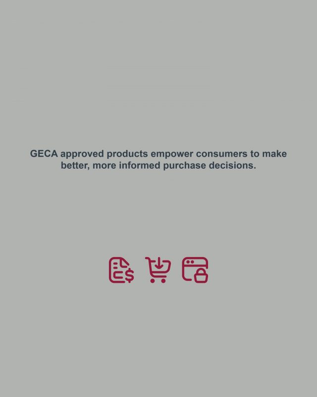 OLG Geca Slides7