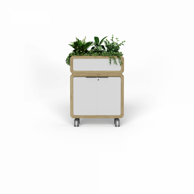 render 15
