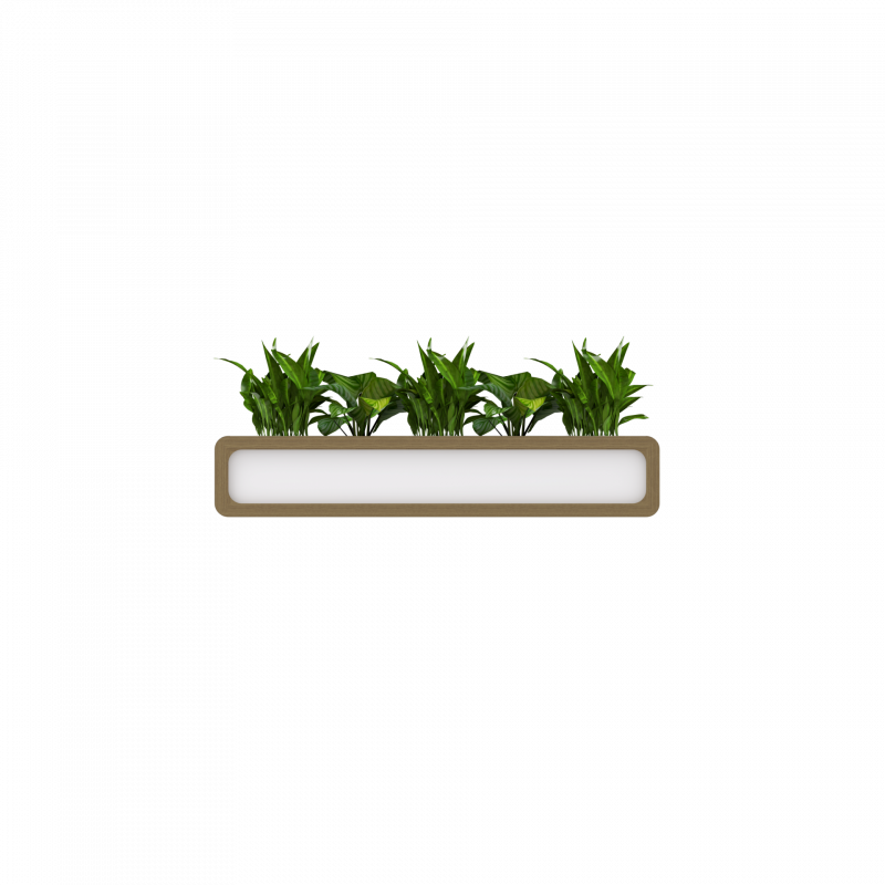 Planter 1650 front and back.effectsResult