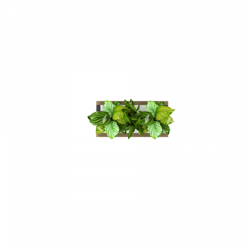 Planter 900 top.effectsResult