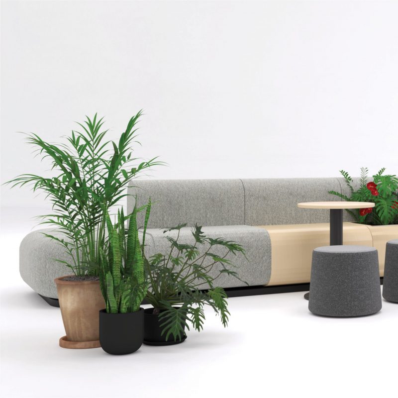Grove Sofa Launch 3