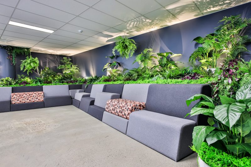 OLG Office - Motion Grandstand