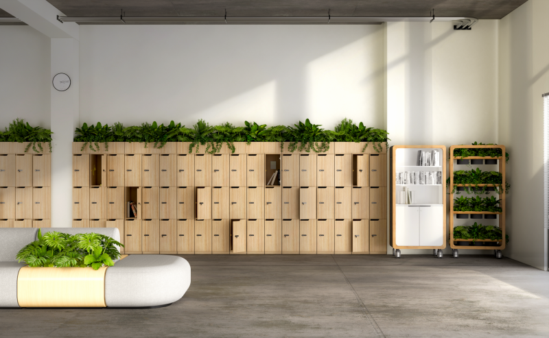 Knox Locker - OLG Office
