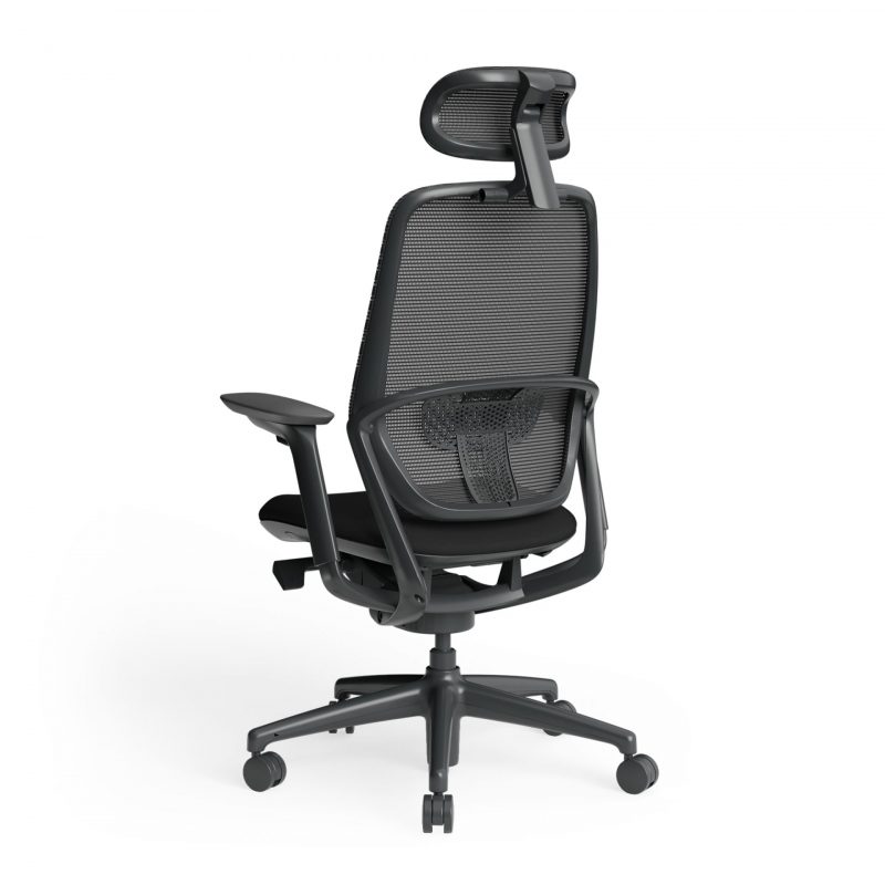 Astral Executive Chair with Adjustable Armrest Headrest Back Angled View 1700