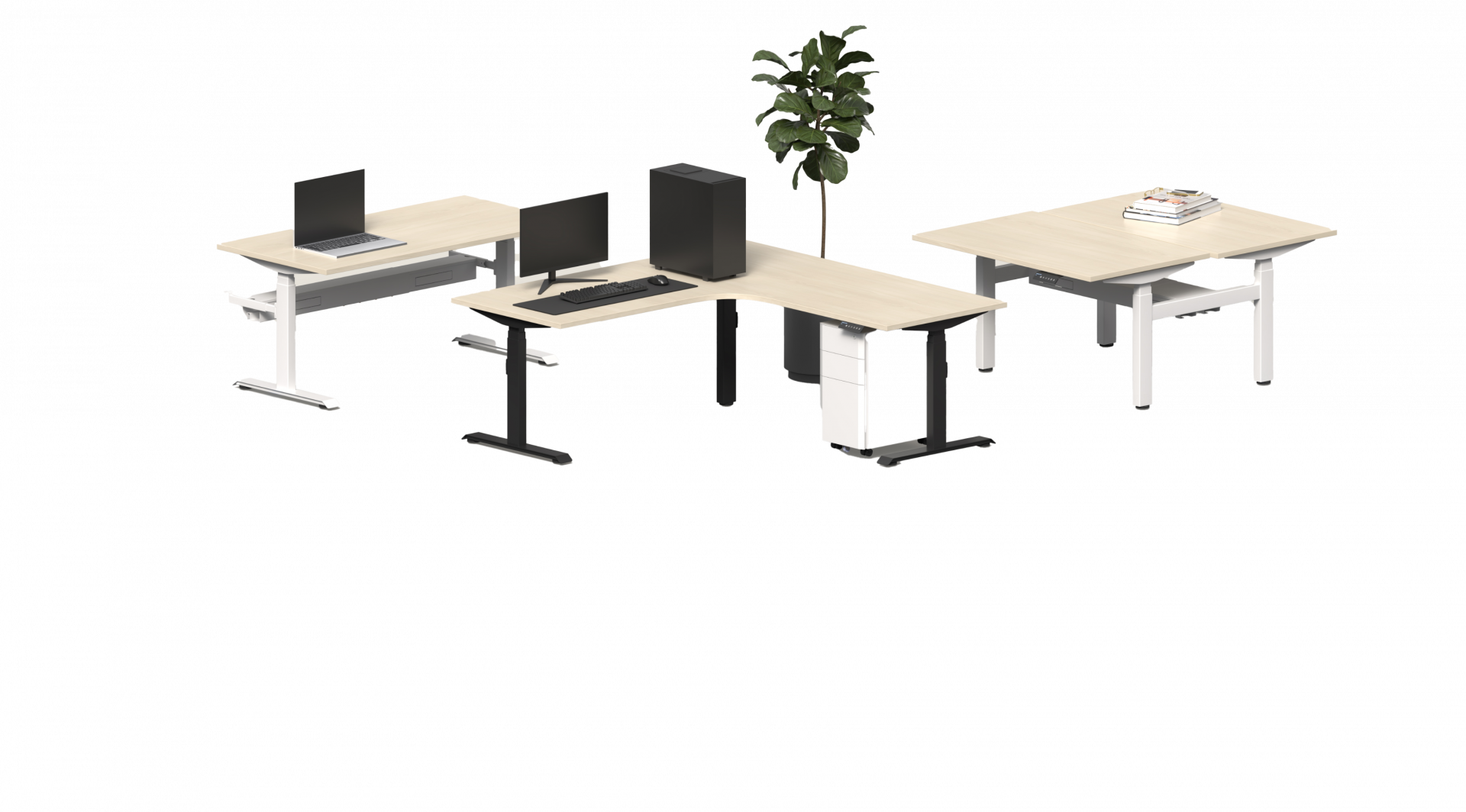 Yirra Djirrily Workstation Height Adjustable Desk